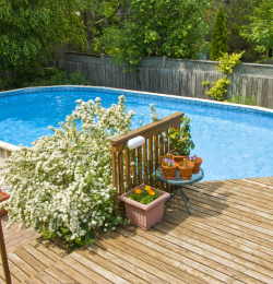 Clean Pool